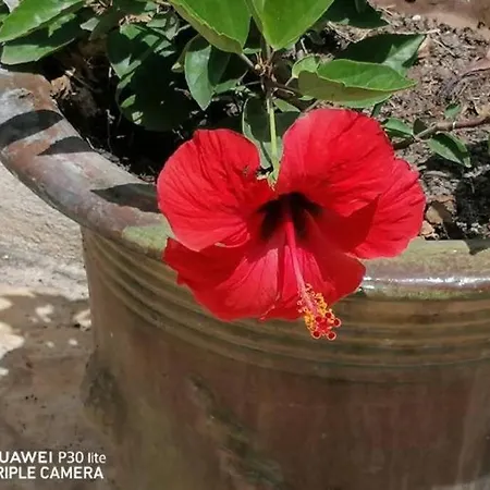 Appartement Dans Proche De La