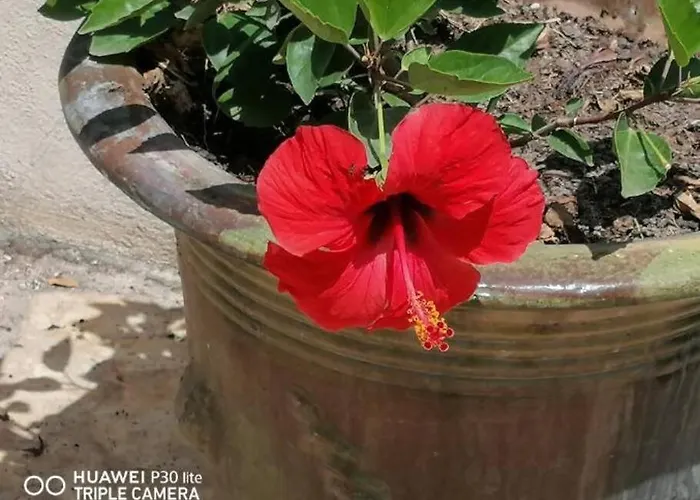 Apartman Dans Proche De La